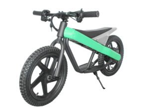16eDrive Brushless Stability Cycle with Lithium Battery