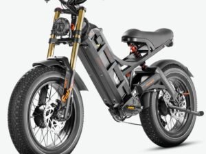 Eahora Romeo II Electric Bicycle