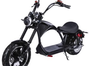 Harley Style Electric Moped