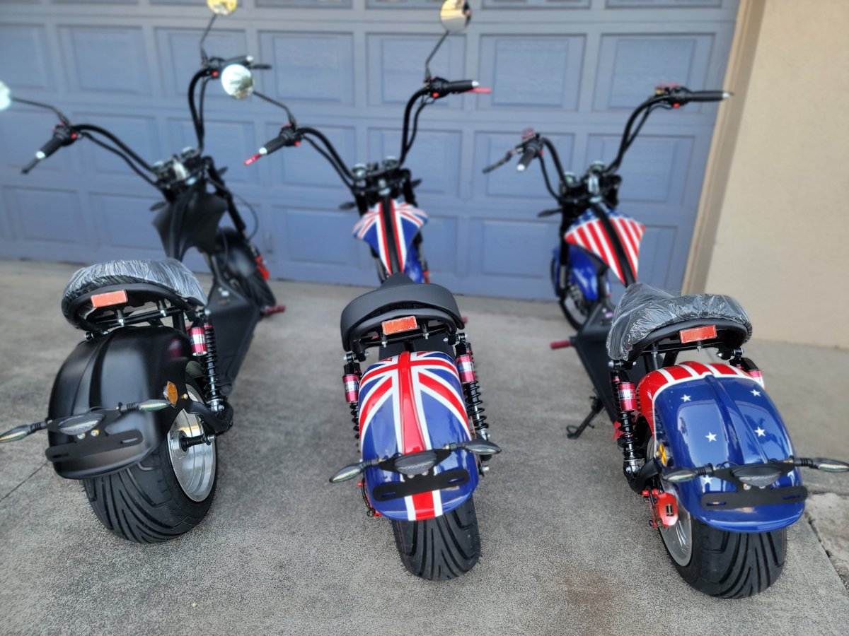 Harley-Davidson-style-moped-back.jpg