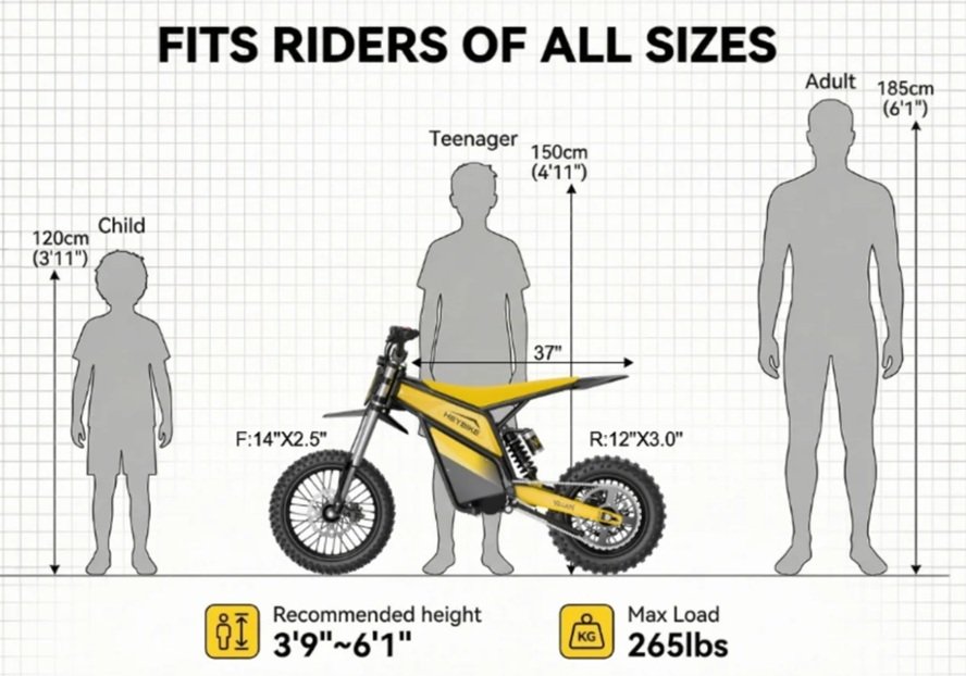 Heybike-Villain2.jpg