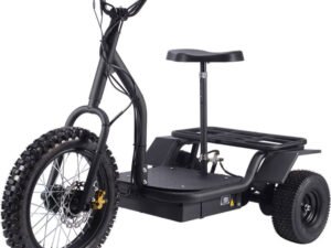 MotoTec Electric Trike 48v 1200w