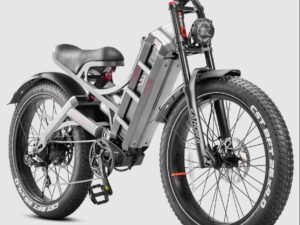 Eahora Romeo Pro Electric Bicycle