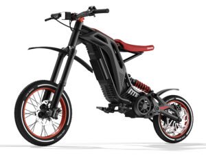 Titan One Sport Electric Bike 60v